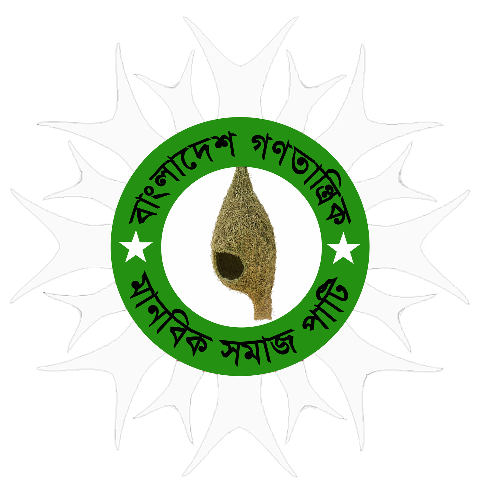 BDHSP Logo